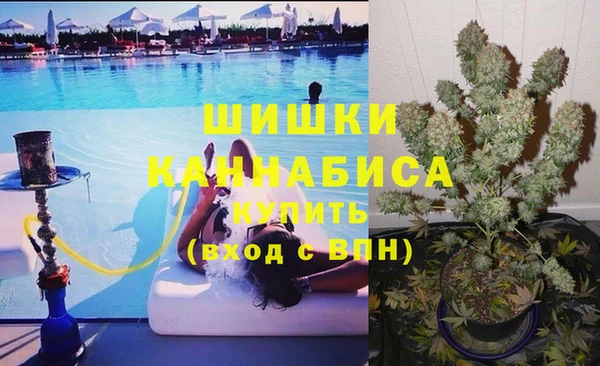гидропоника Богданович