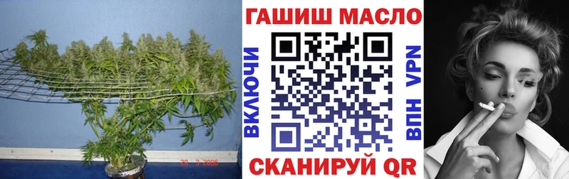 KRAKEN   Красноармейск  Дистиллят ТГК гашишное масло 