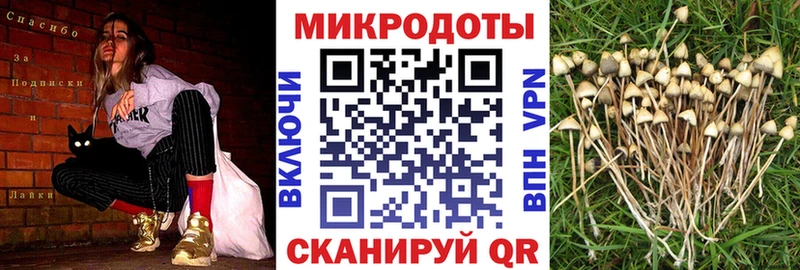 Галлюциногенные грибы Psilocybine cubensis  omg как зайти  Красноармейск 